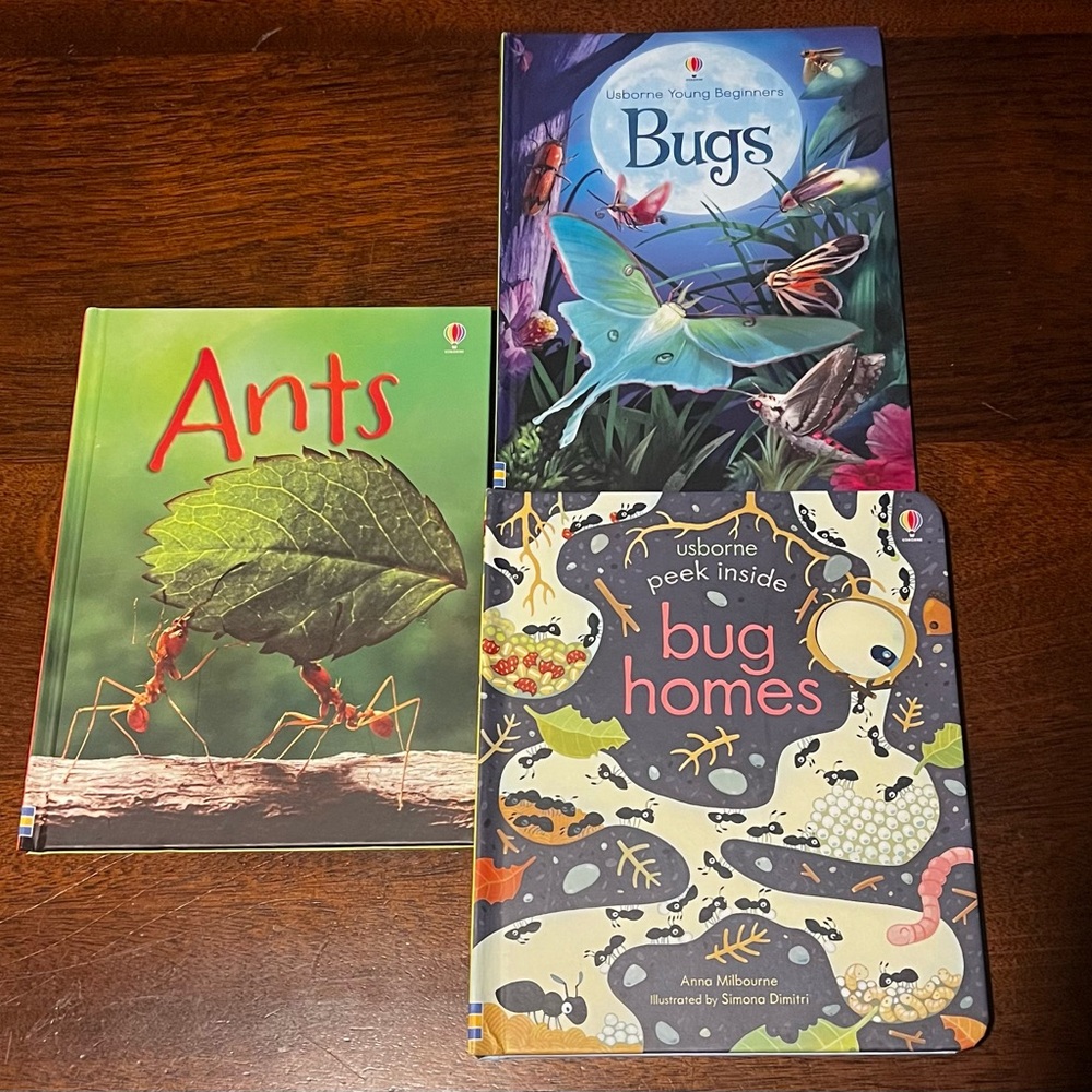 Usborne Books: Bugs, Ants, Bug Homes
